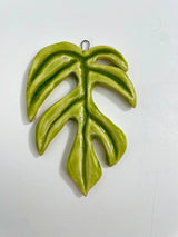 Raphidophora Tetrasperma Ornaments