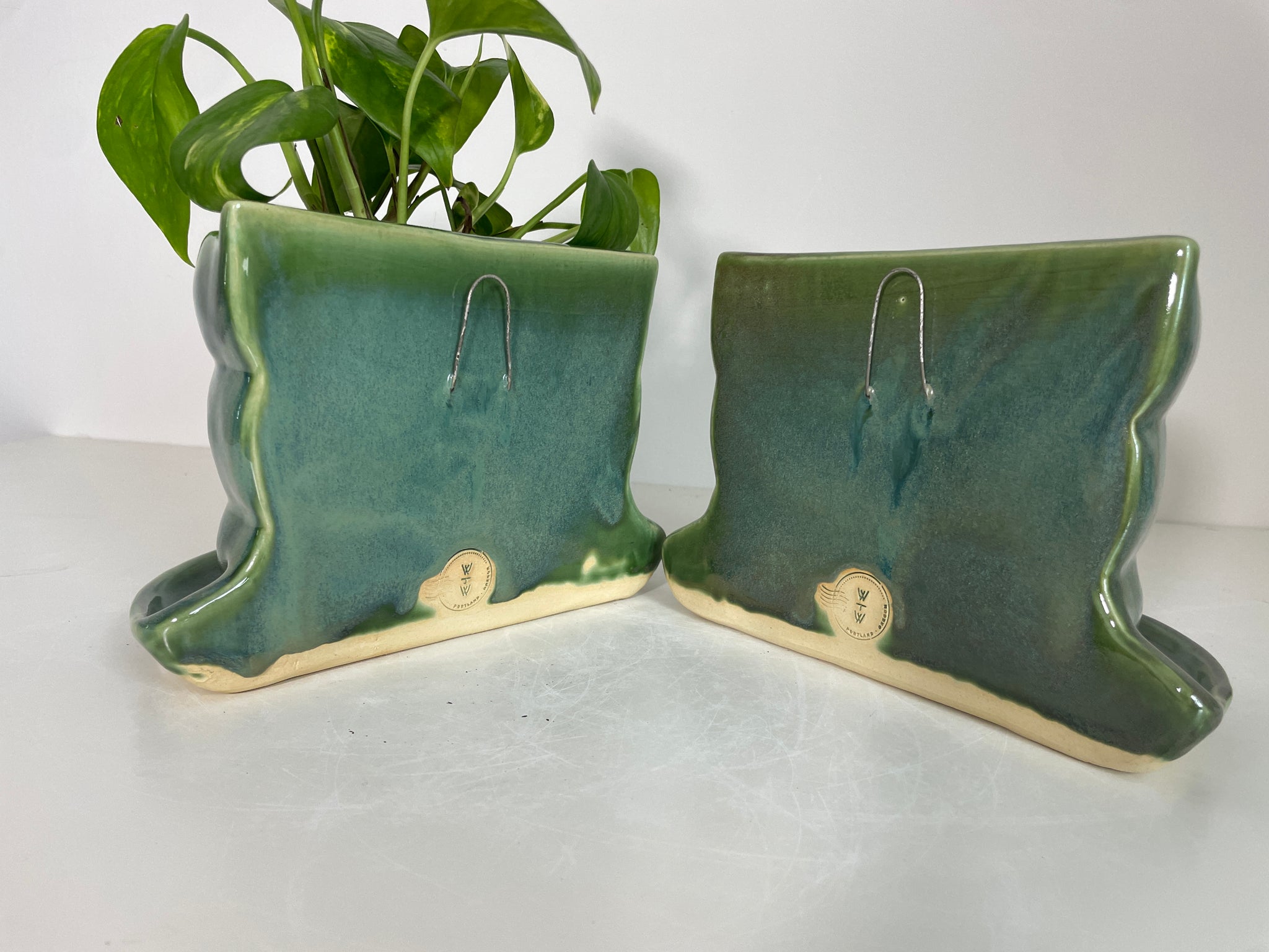 Curvy Plant Shelfie Bookends