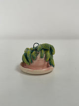 Mini Potted Hoya in Pink Pot