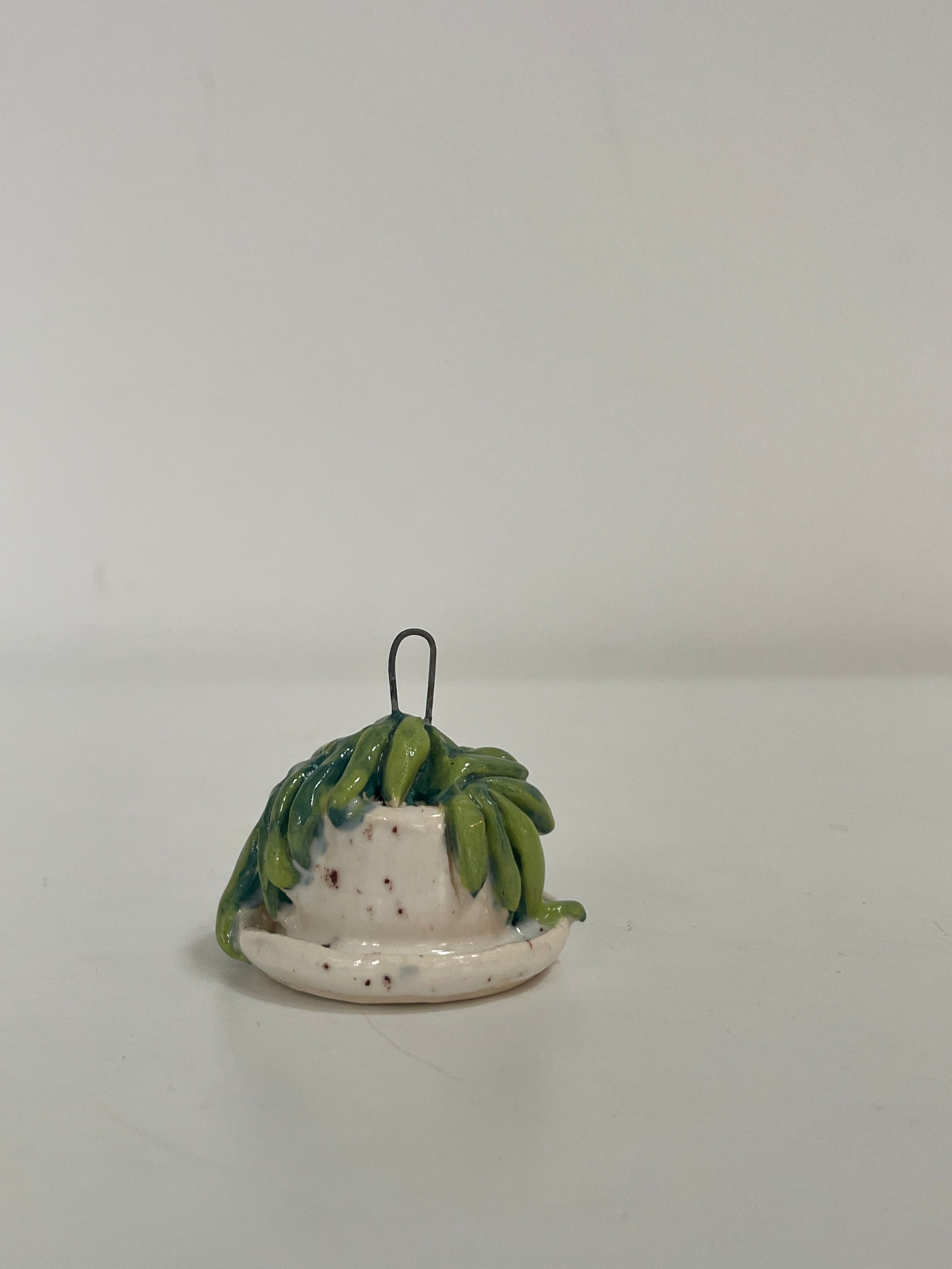 Mini Potted Hoya - Speckled White Pot