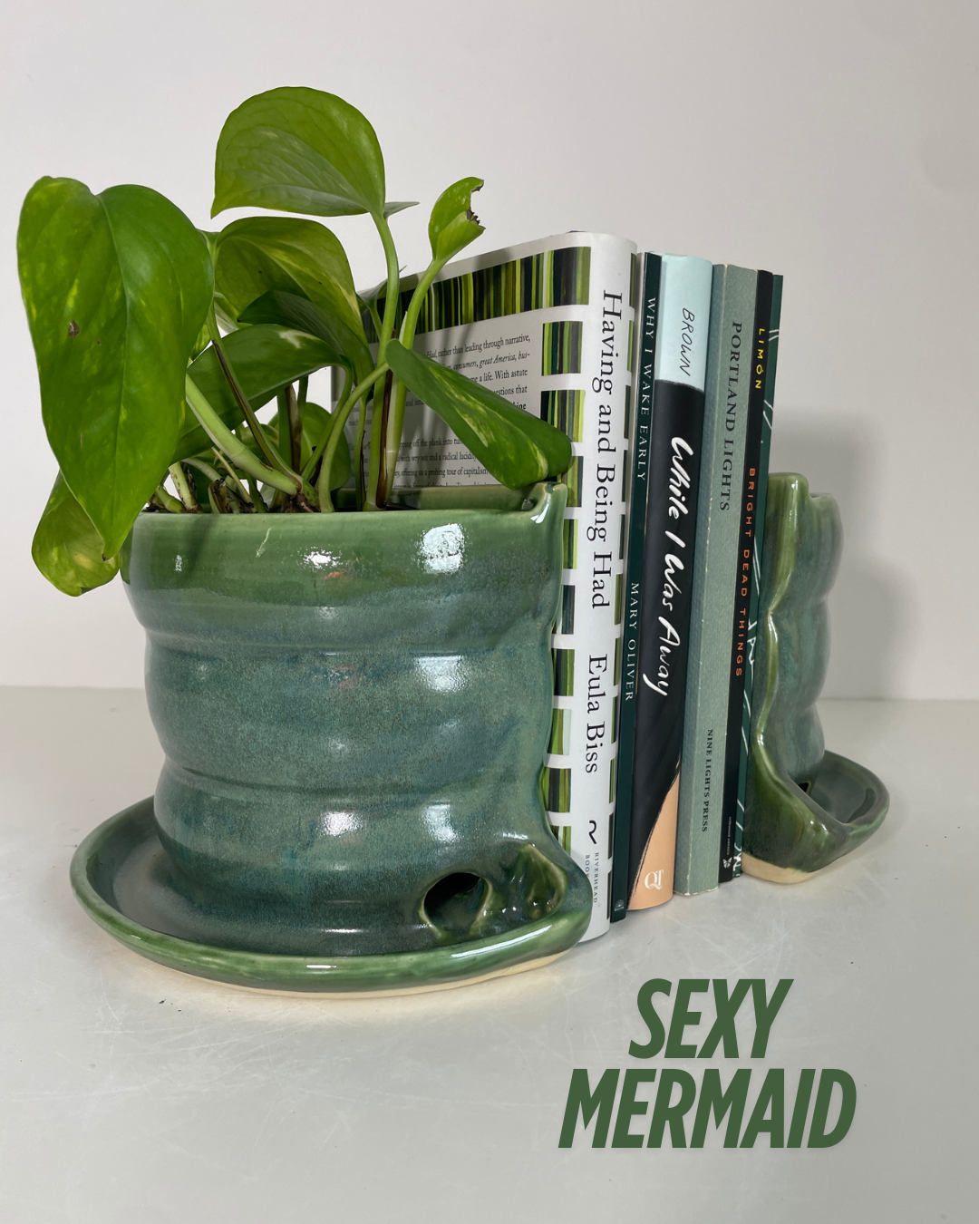 Curvy Plant Shelfie Bookends - Pre-Order