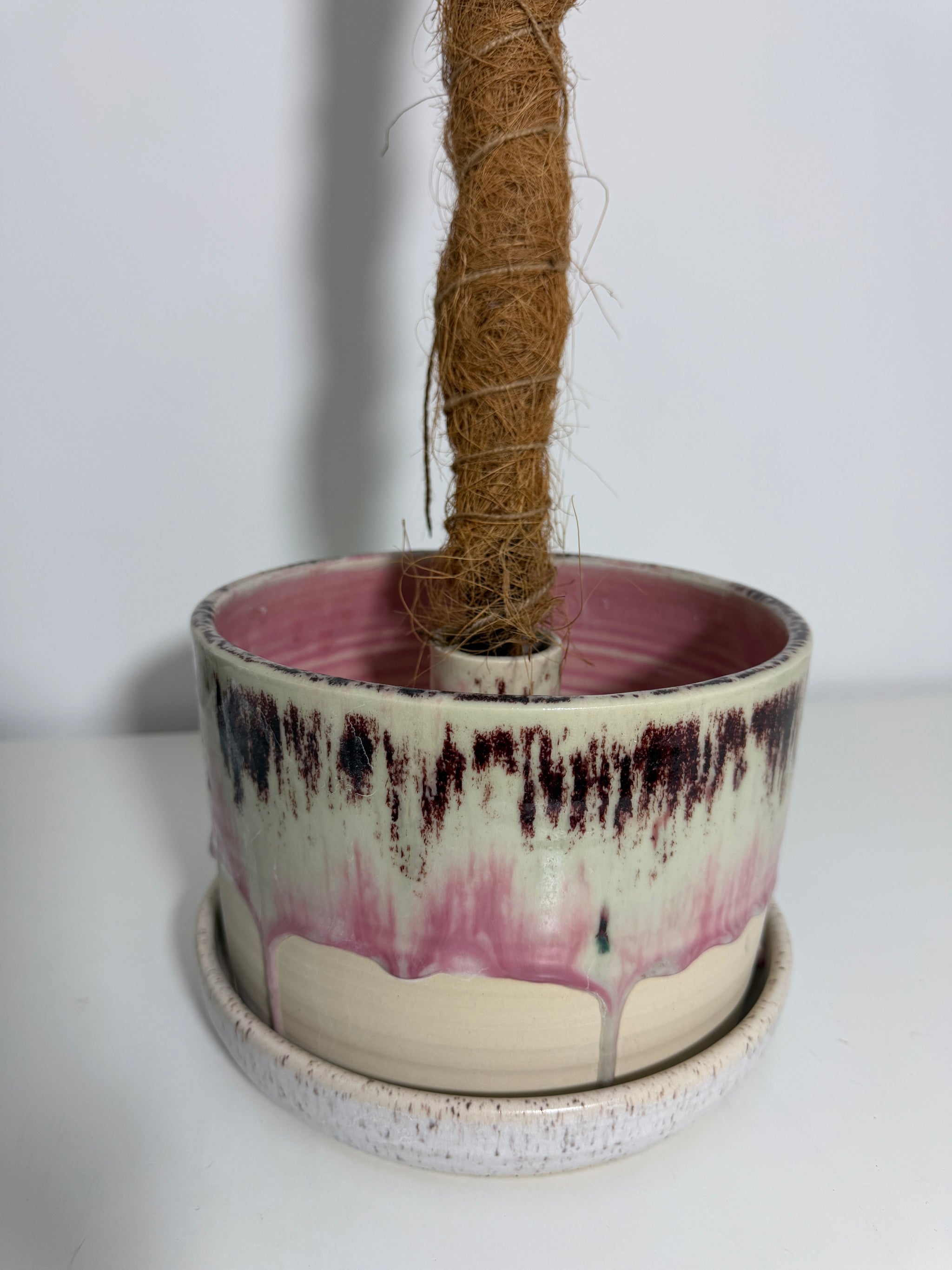 6" Pole Dancing Planter Neopolitan Ice Cream Glaze