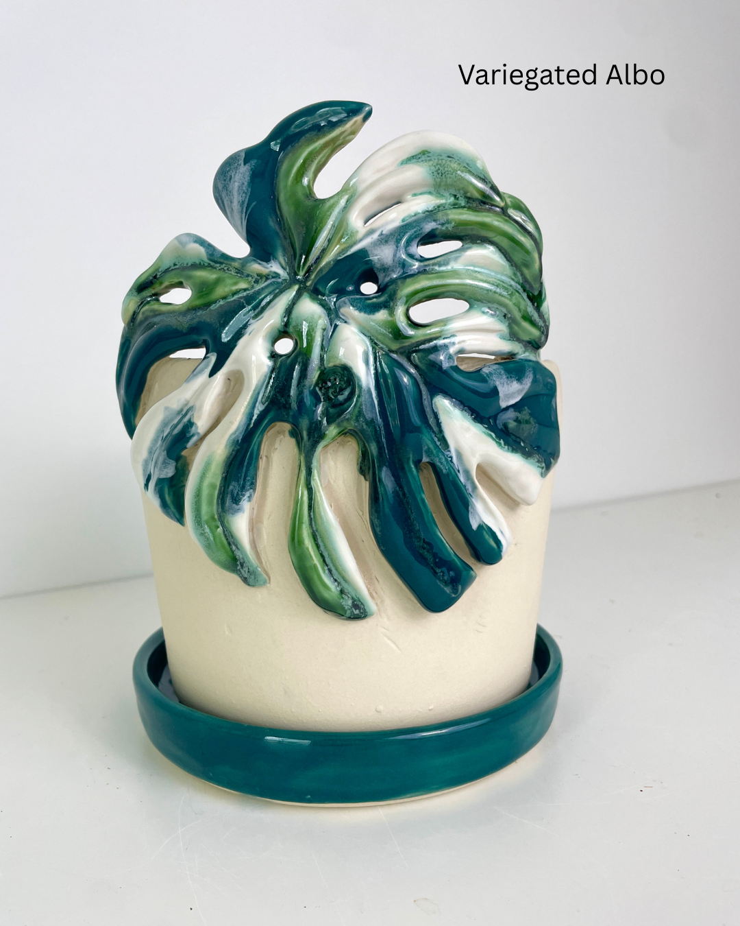 Monstera Albo Planter with Attached Saucer - Pre-Order - US Collection
