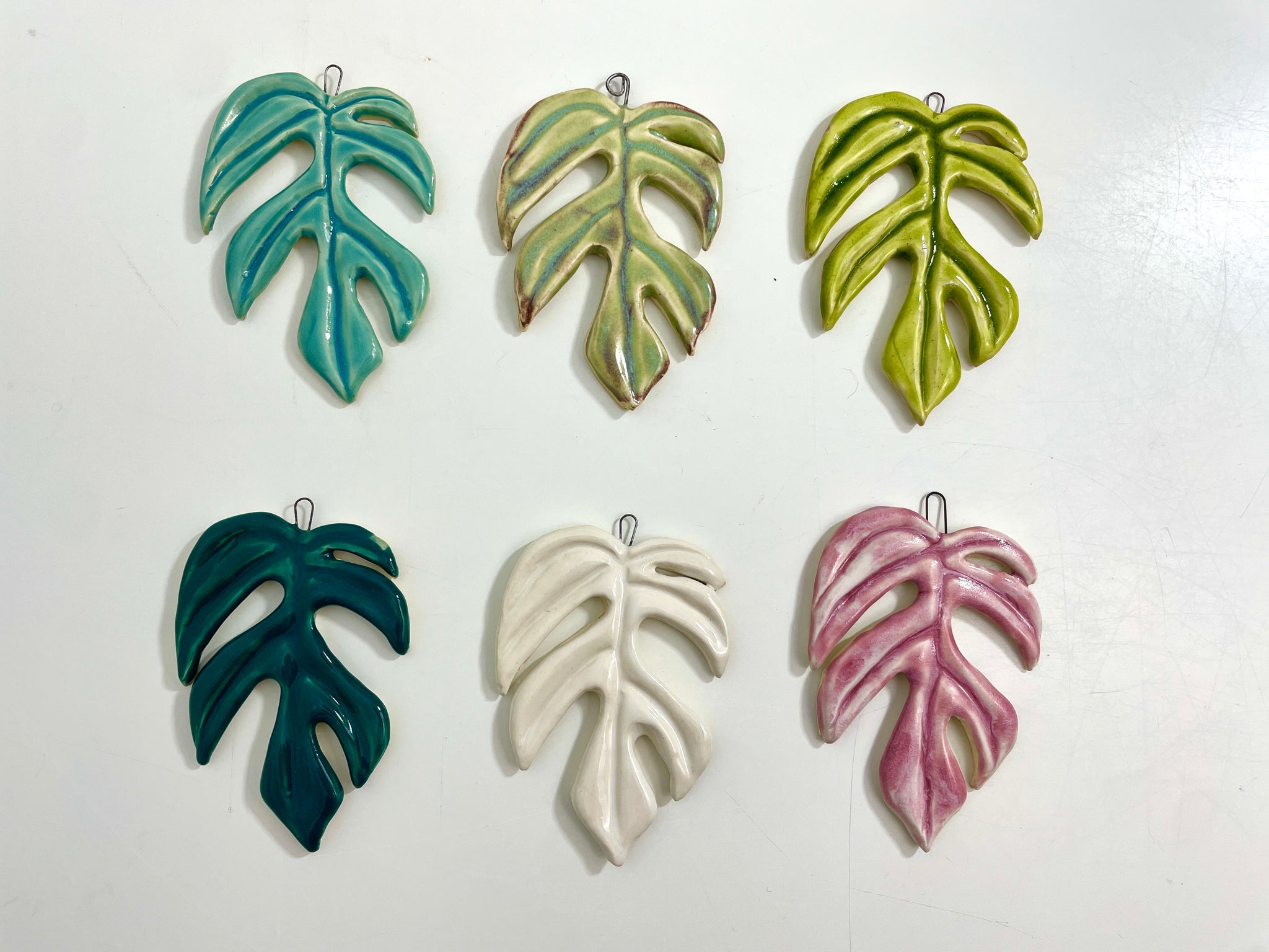 Raphidophora Tetrasperma Ornaments