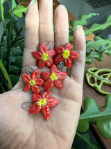 set of 5 Mini Poinsettia Ornaments