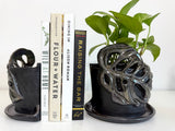6" Adansonii Bookends Black and Mirror