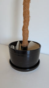 8" Pole Dancing Planter Black Oil Spot Glaze