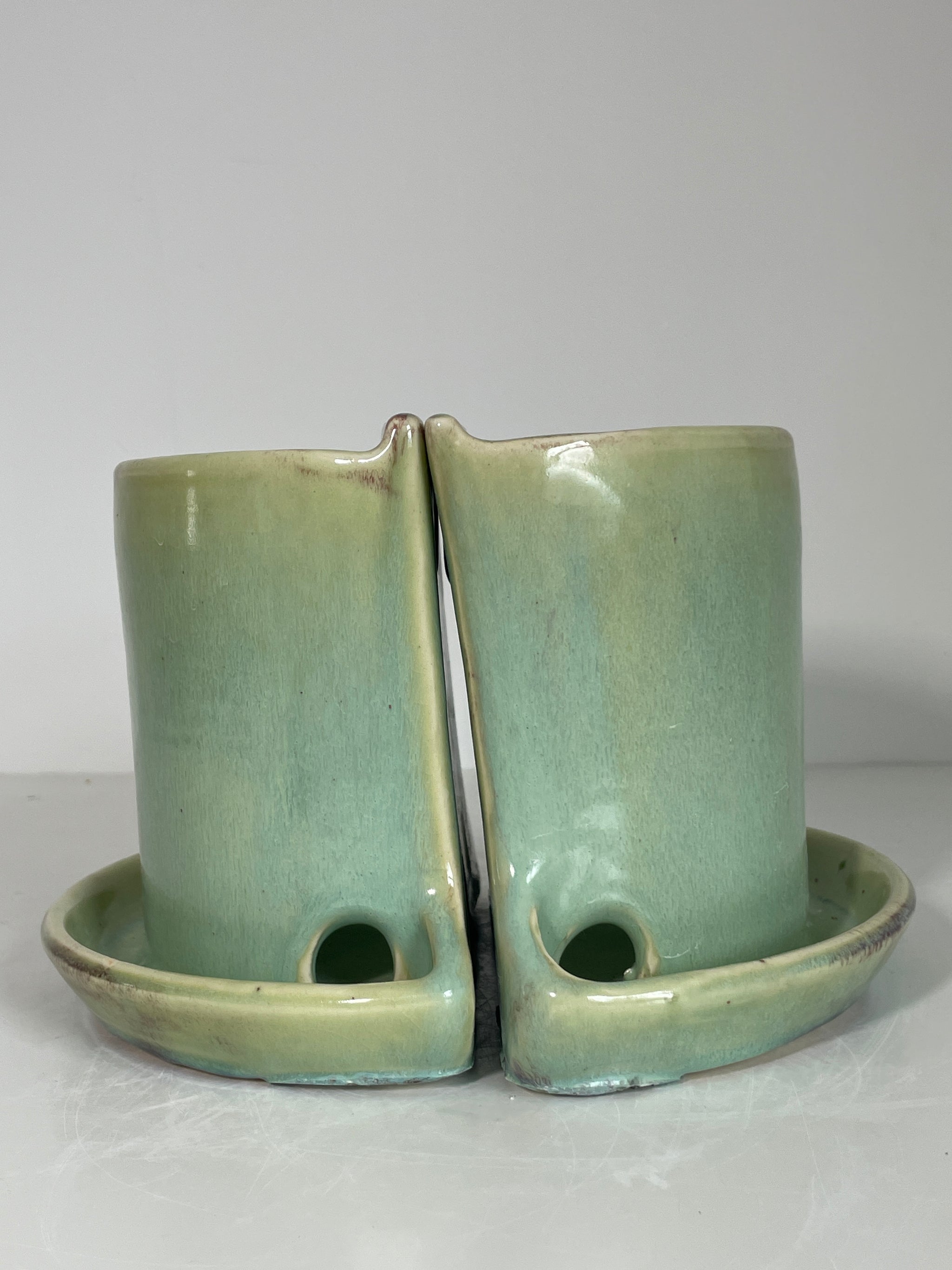 6" Plant Shelfie Bookends Spiderwort glaze