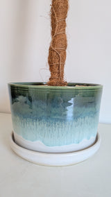 8" Pole Dancing Planter Sexy Mermaid + Unicorn Skin Glaze Combo