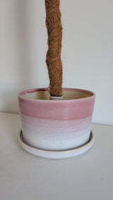8" Pole Dancing Planter Pink+ Unicorn Skin Glaze Combo