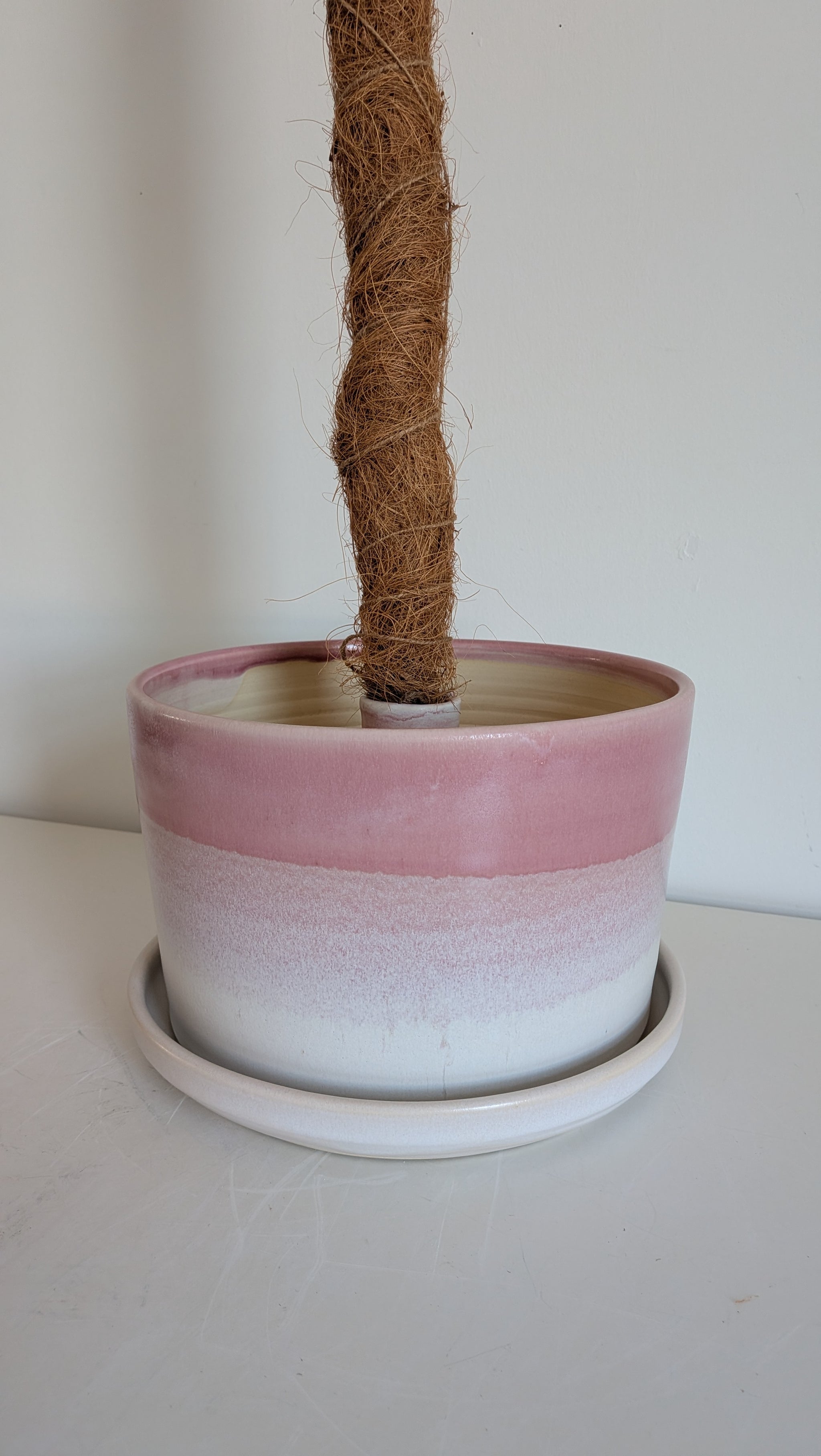 8" Pole Dancing Planter Pink+ Unicorn Skin Glaze Combo