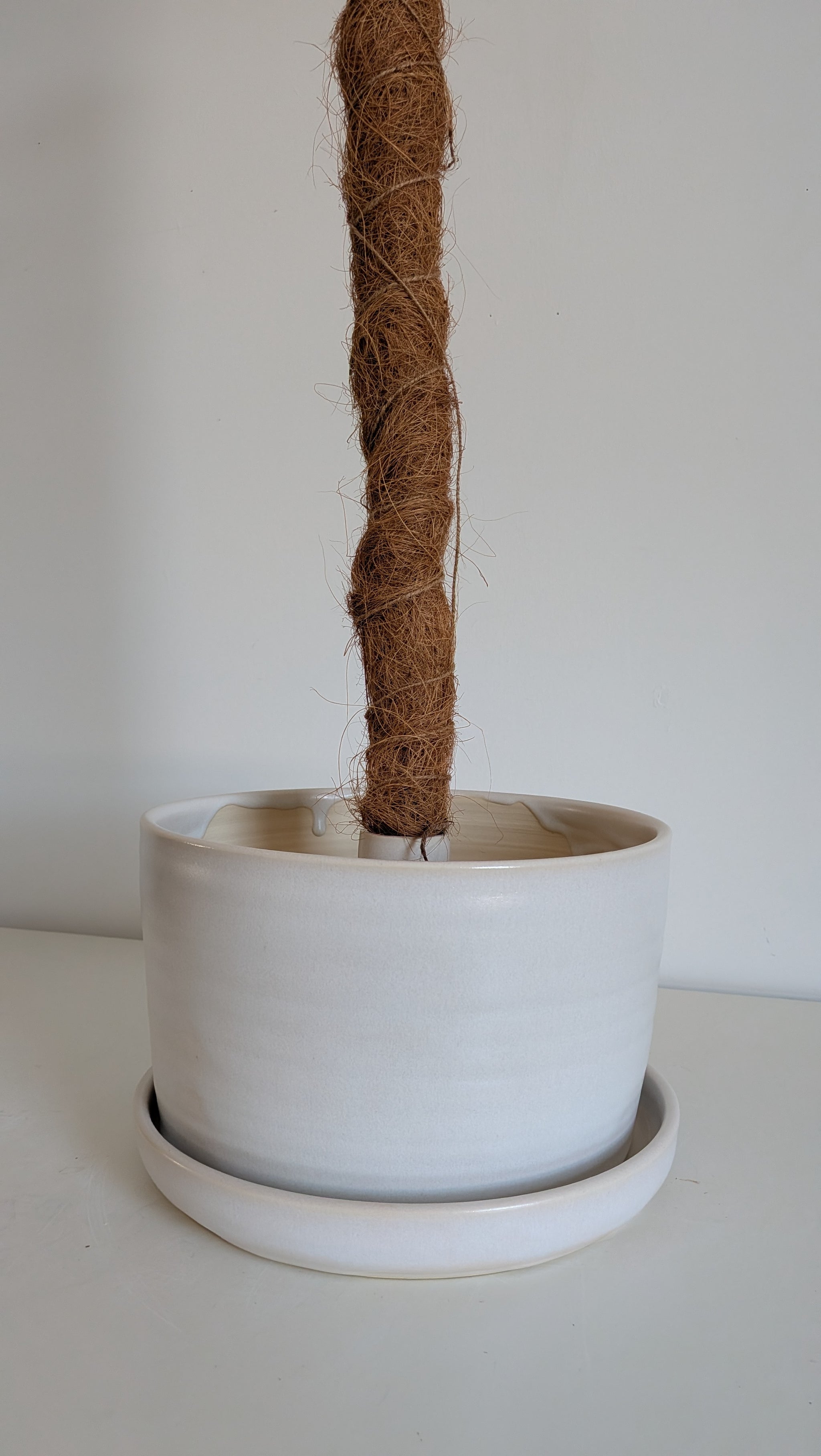 8" Pole Dancing Planter Unicorn Skin White Glaze