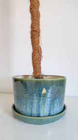 8" Pole Dancing Planter Sexy Mermaid Glaze (Slight Glaze imperfection)