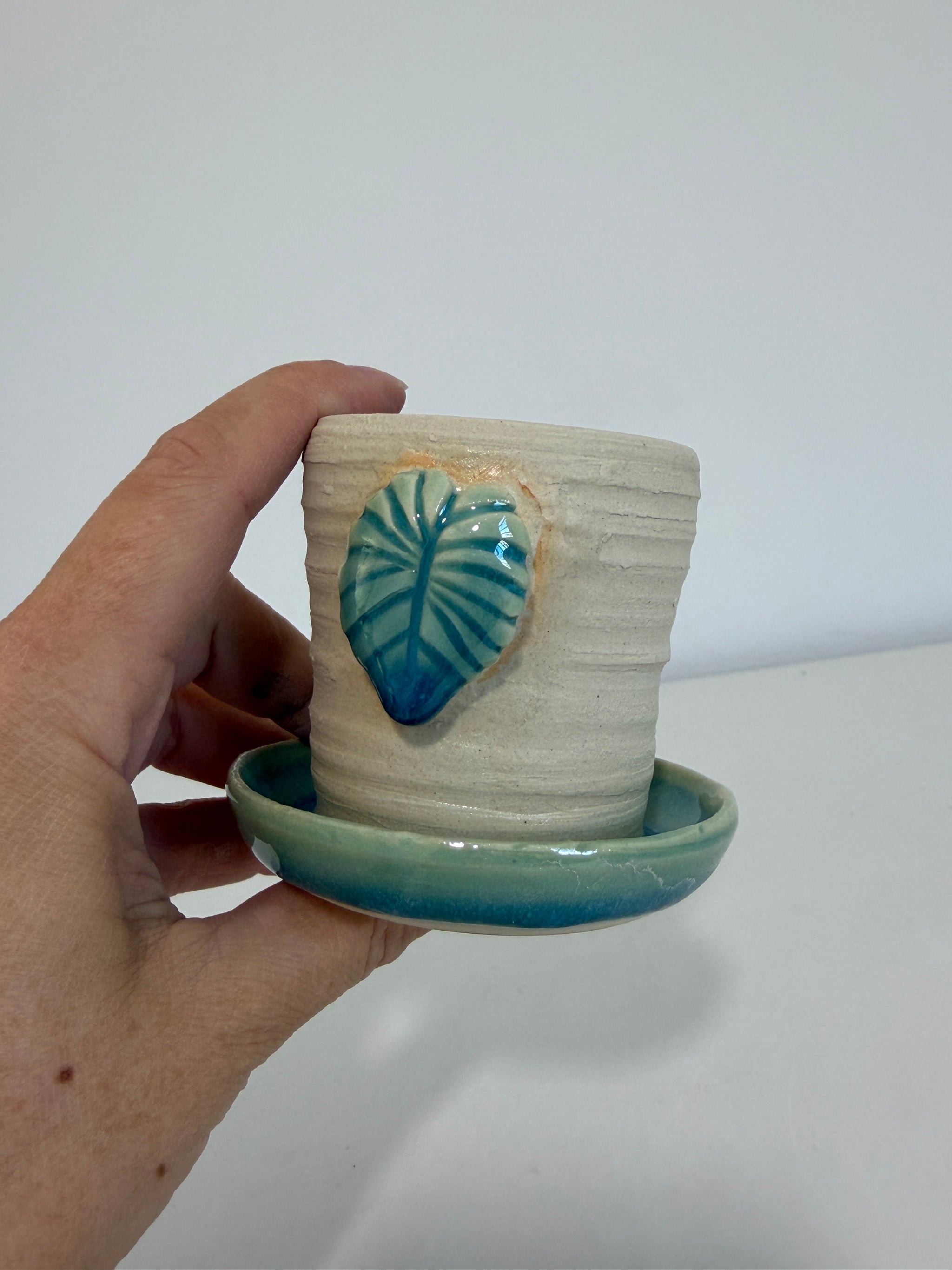 Tiny Pot: Alocasia Leaf Turquoise