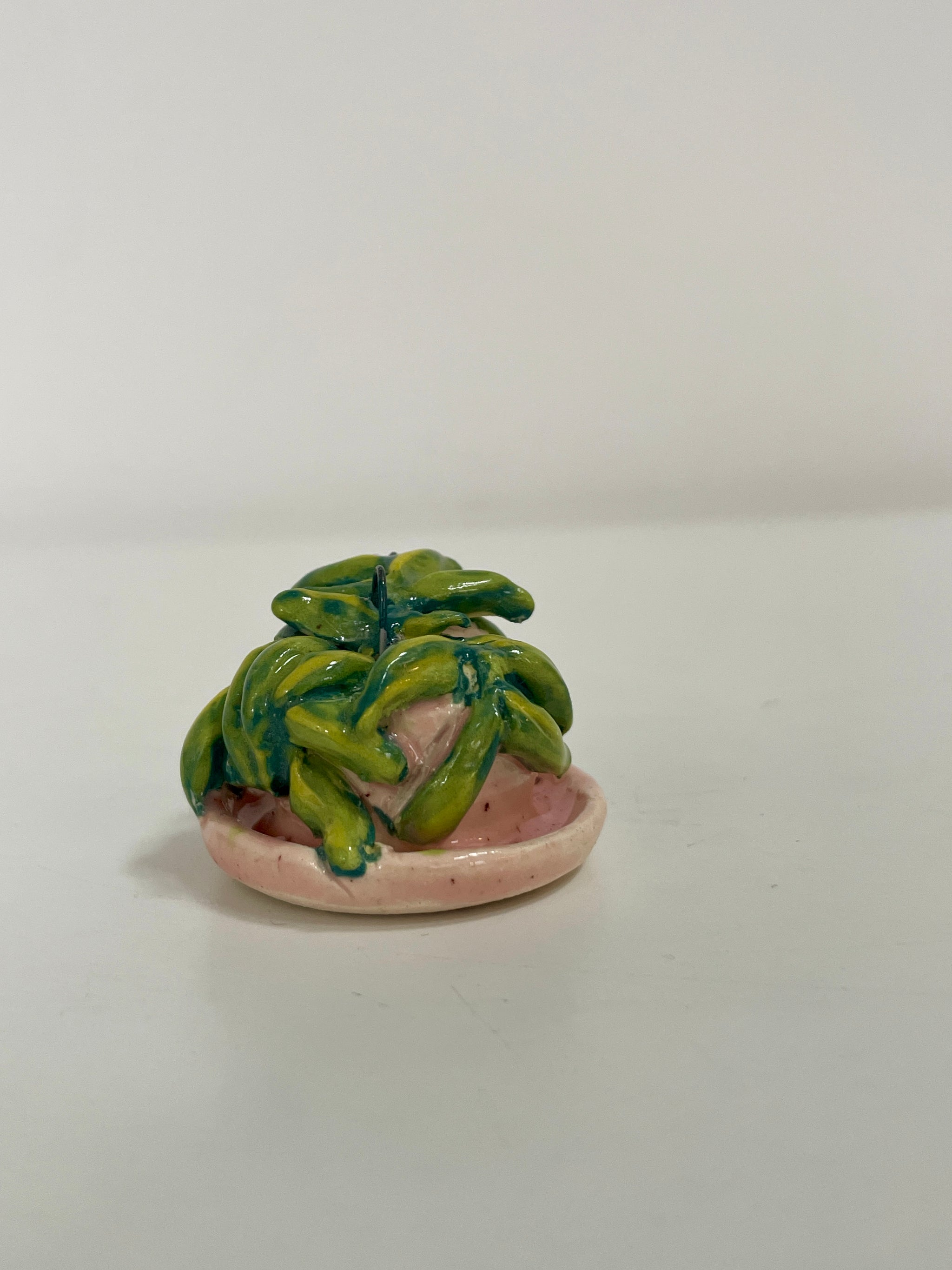 Mini Potted Hoya in Pink Pot