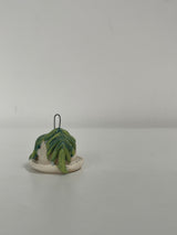 Mini Potted Hoya - Speckled White Pot