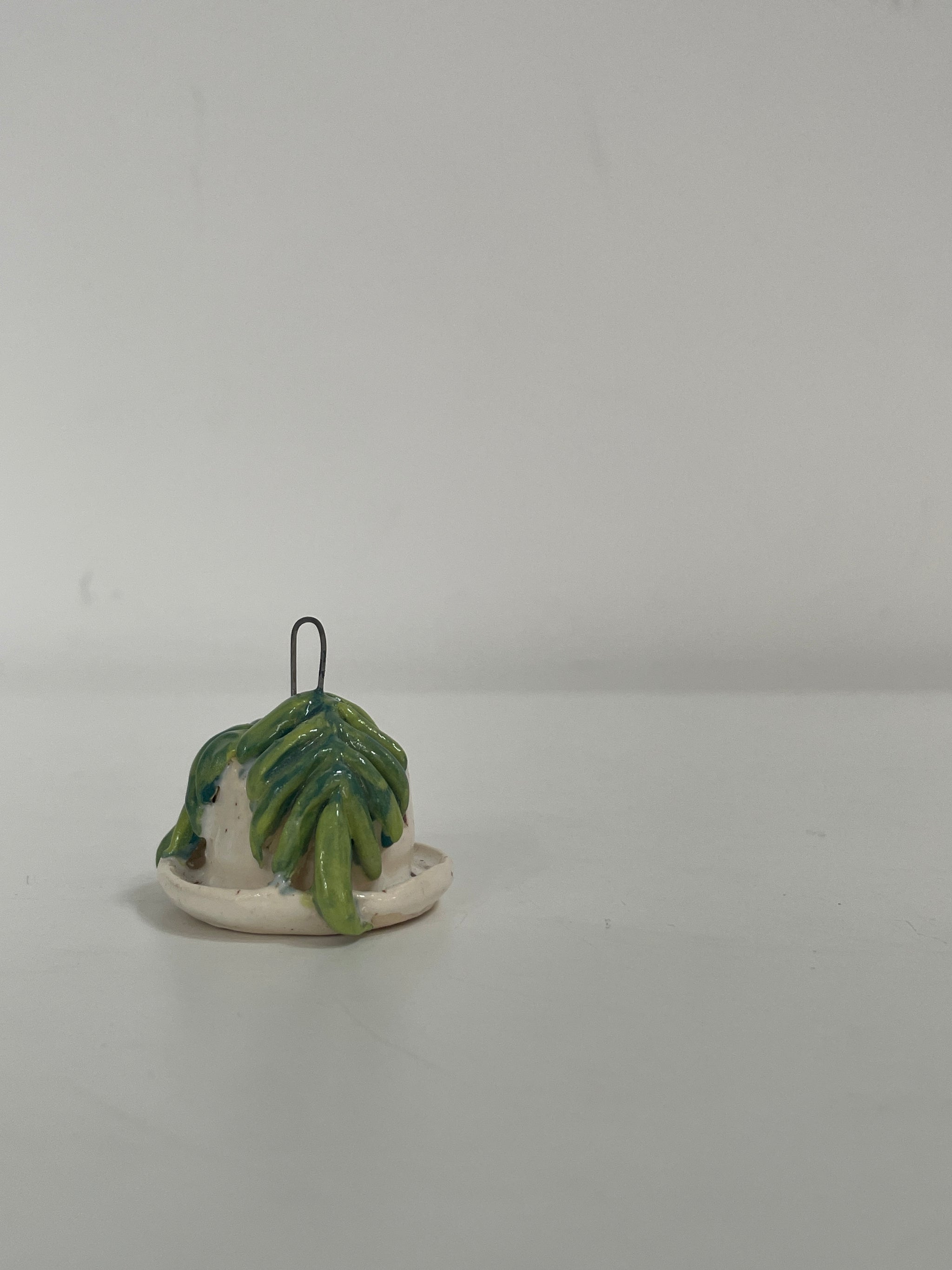 Mini Potted Hoya - Speckled White Pot